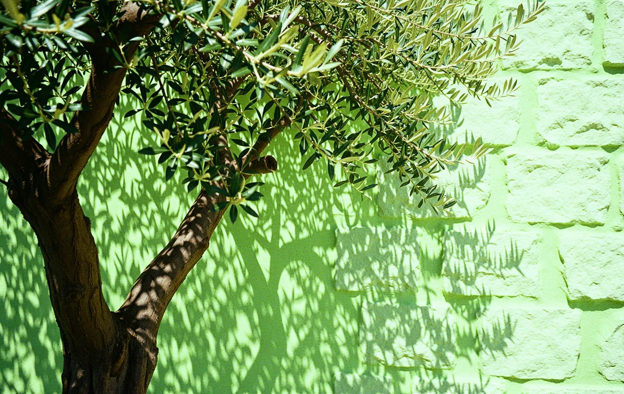 Sunlight and shadows on Mediterranean textures